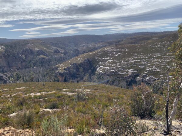 Lost City Walkabout Bushwalking Nswbushwalking Nsw