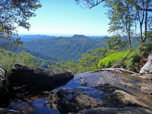 View Springbrook National Park from Twin Falls walking track