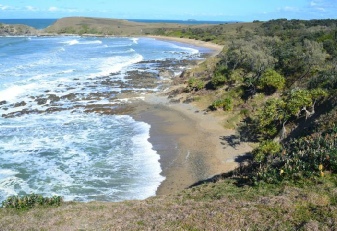 Look at Me Now Headland from walking track - Moonee Beach NR