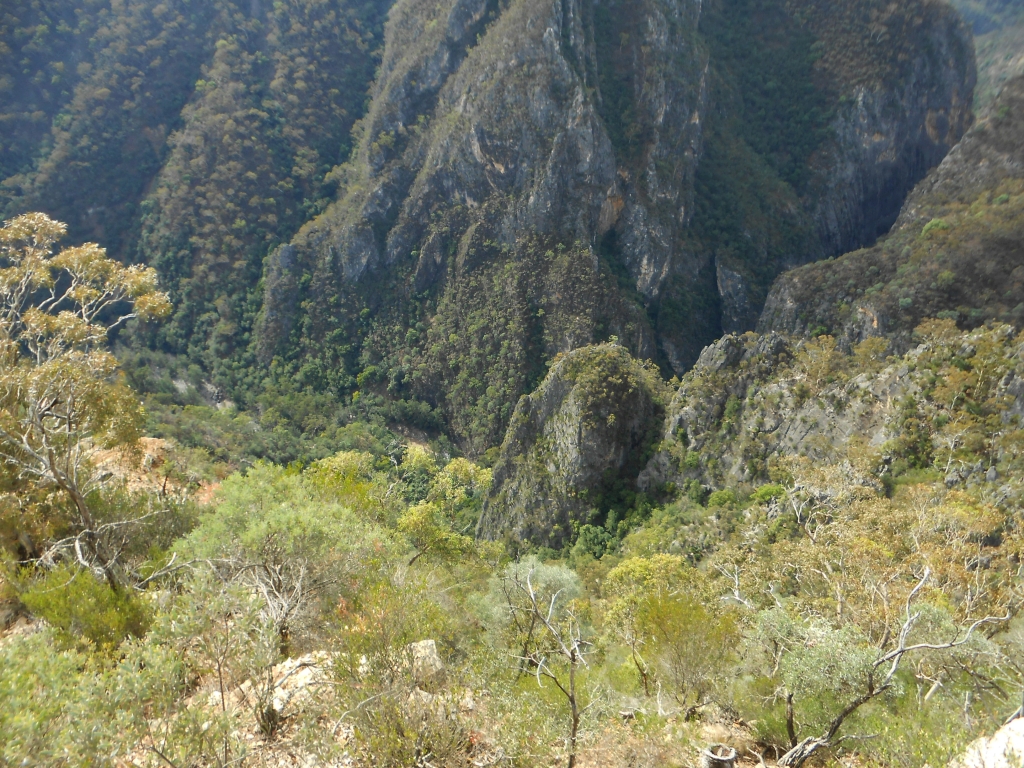 Bungonia gorge