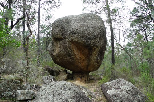 The experts couldn't decide if it was a petrified mushroom or a fossillised dinosaur dropping.