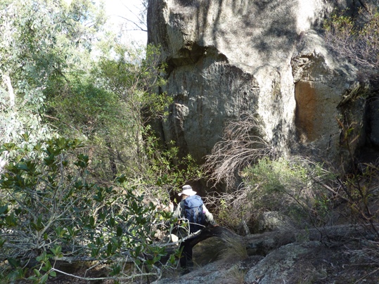 A bit of off-track walking down from lookout.