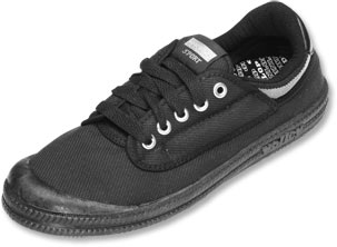 dunlop volleys big w