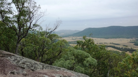 Tamworth Bushwalking - Photos - Moore Creek